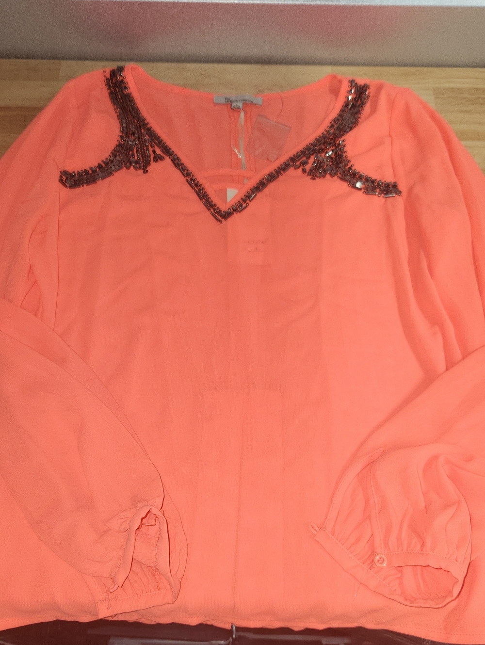the clothing company Coral Sequin-Trim V-Neck Blouse